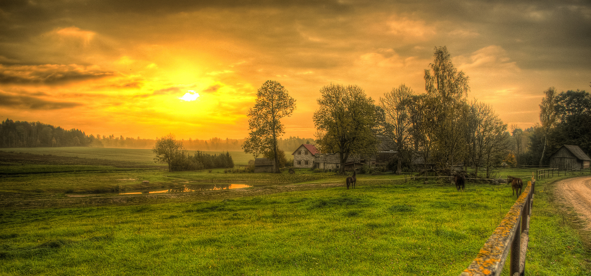 Homestead